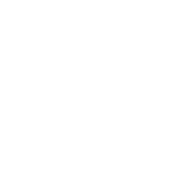 vetrai ornate logo white transparent