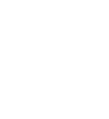 vetrai ornate logo white transparent